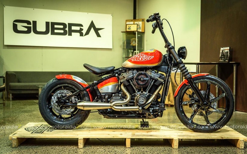 Ya puedes votar por la Mojo Bobber de Gubra