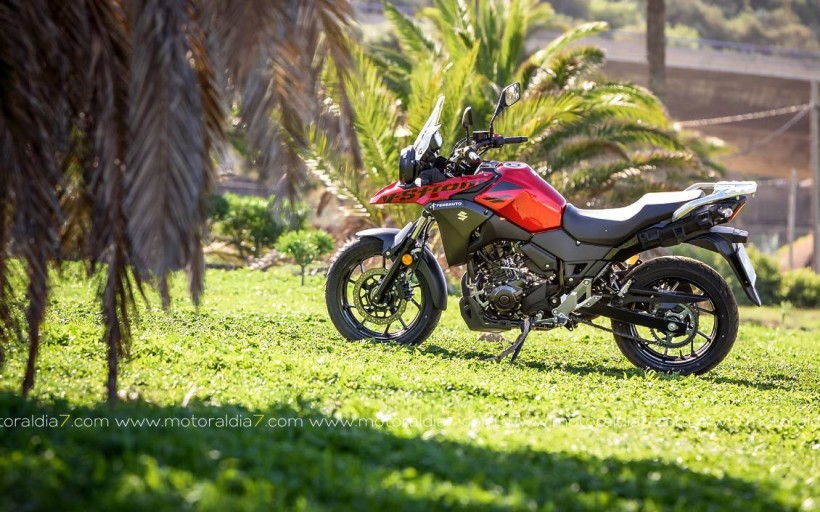 La pequeña de la familia V-Strom