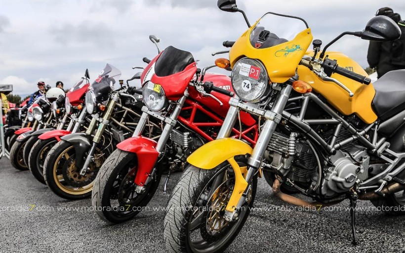 Récord roto para el desfile más grande de Ducati Monster