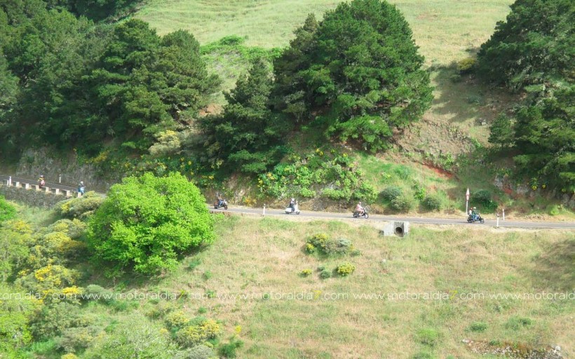 Melodía Vespasión Canarias