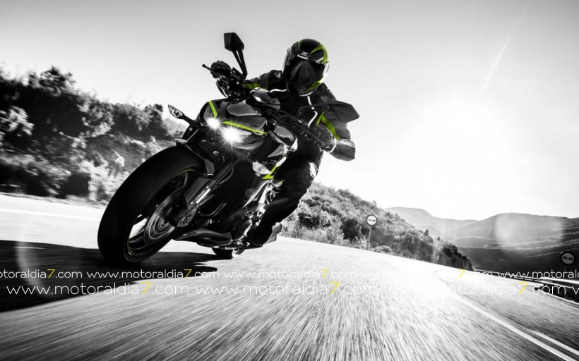 Nueva Kawasaki Z1000 R Edition