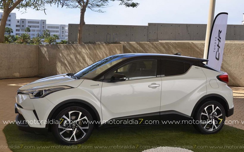 Toyota C-HR: cinco estrellas Euro NCAP