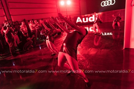 Los SUV han subido de nivel con el Audi Q8