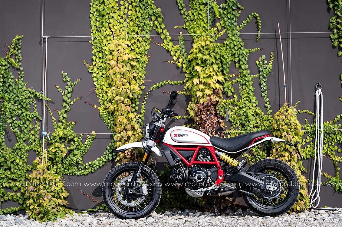 Scrambler Desert Sled