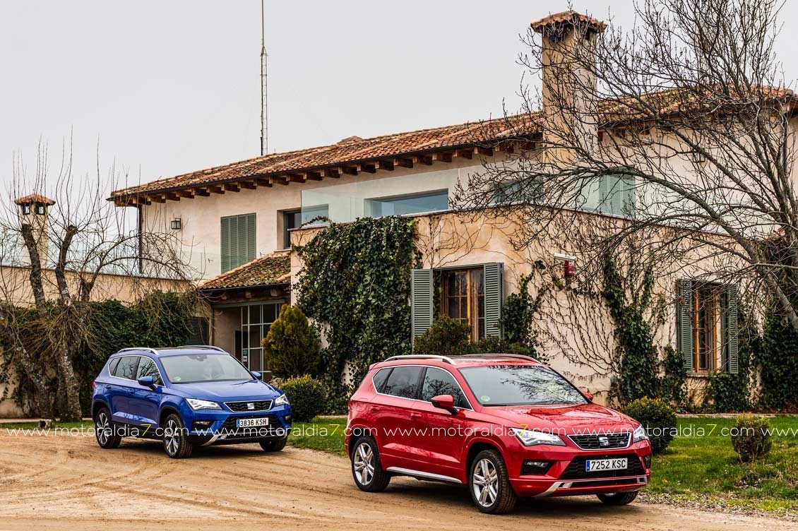 Nuevos motores para el Ateca