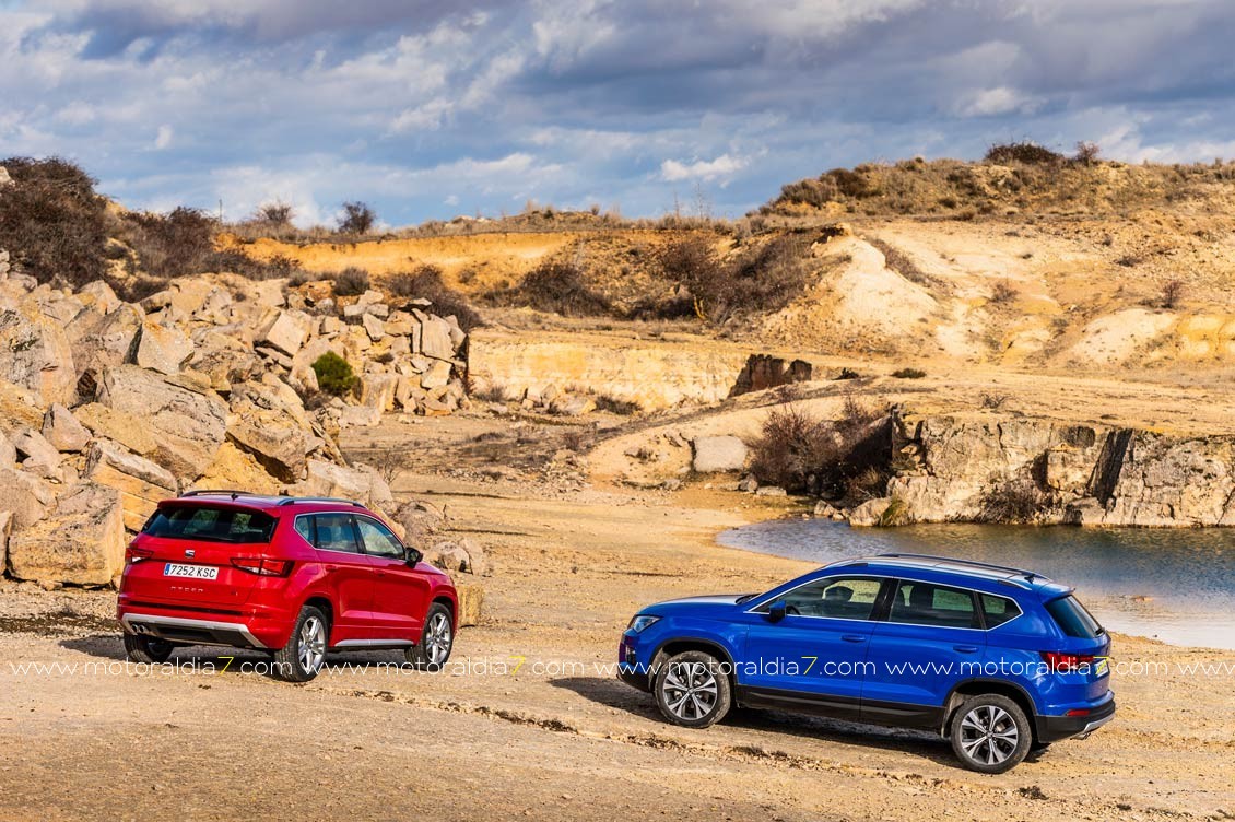 Nuevos motores para el Ateca