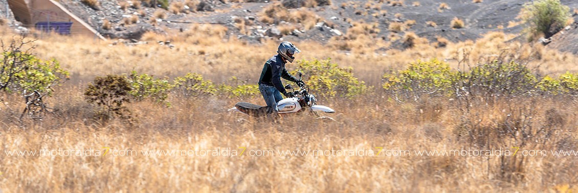 Scrambler Desert Sled 2019, subiendo el nivel