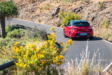 Es tu momento, prueba el nuevo Toyota Corolla