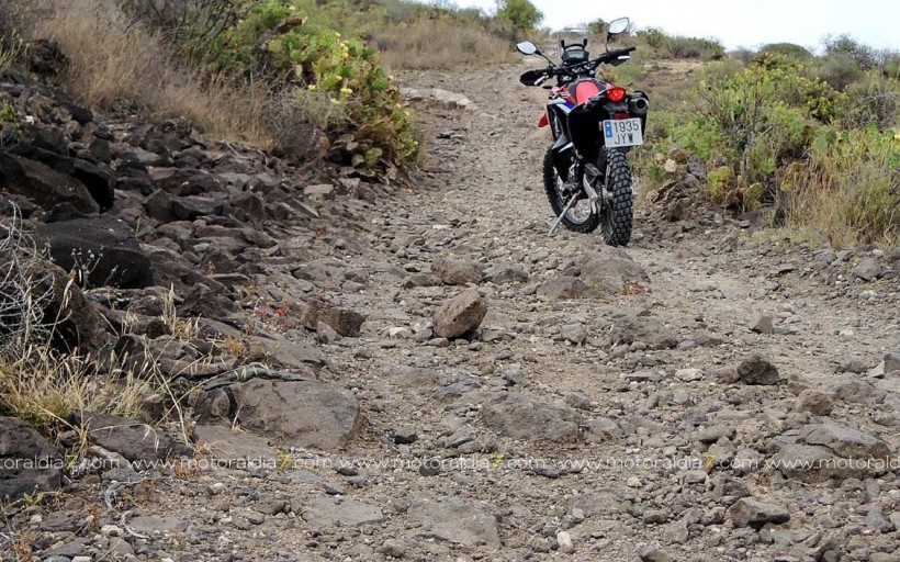 CRF250 Rally. Equilibrio perfecto