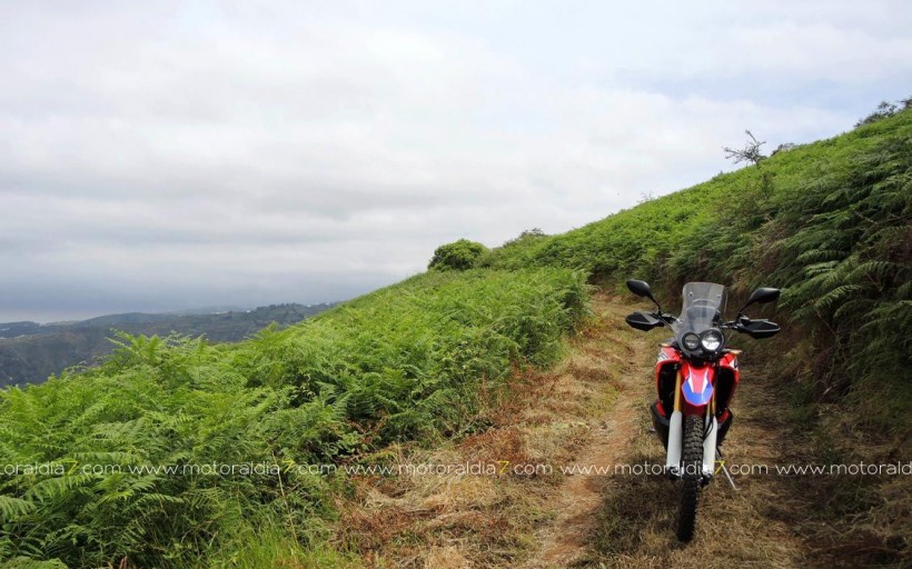 CRF250 Rally. Equilibrio perfecto