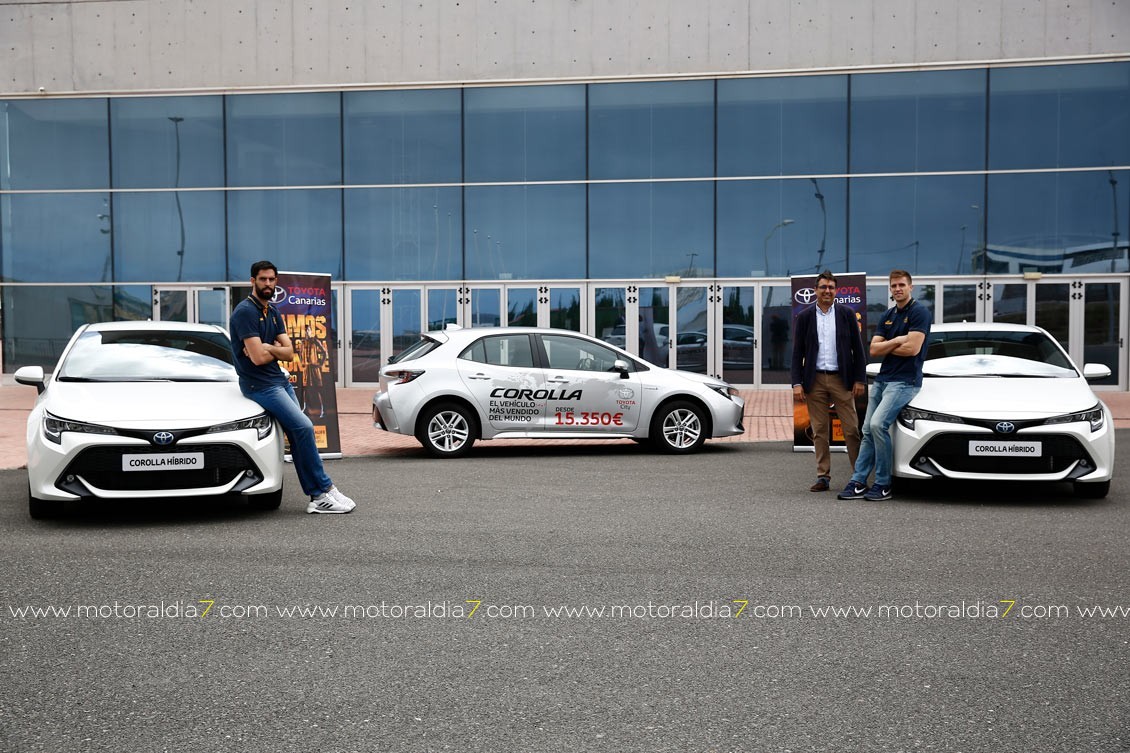 Dos campeones del mundo con los Toyota Corolla Híbrid
