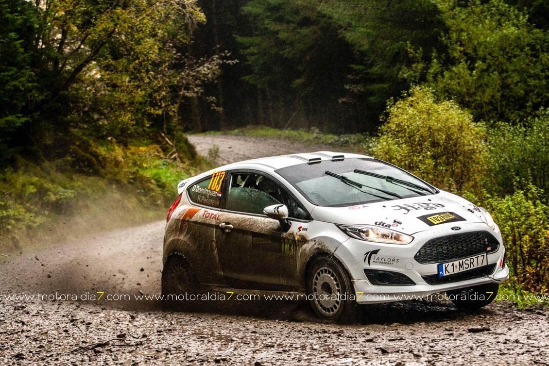 Rogelio Peñate sumó otra participación en el WRC