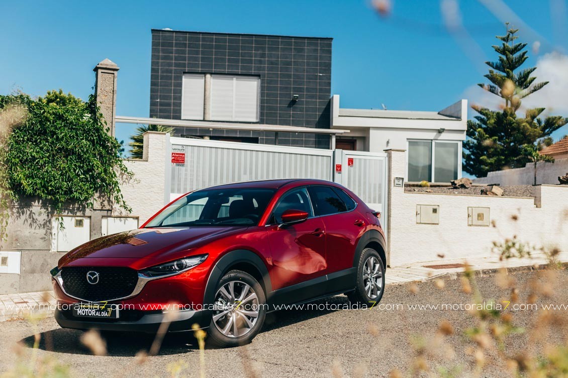 Mazda CX-30, Volante de Oro 2019