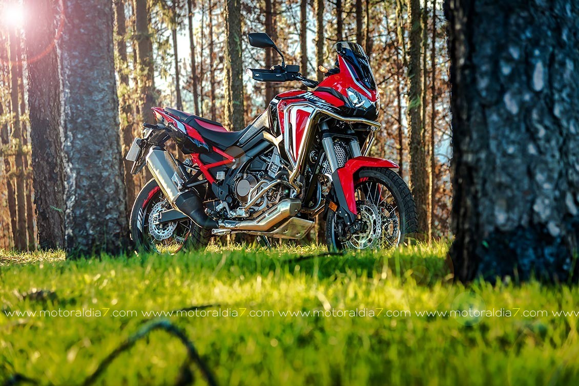 Africa Twin 2020 ¡Ahora si!