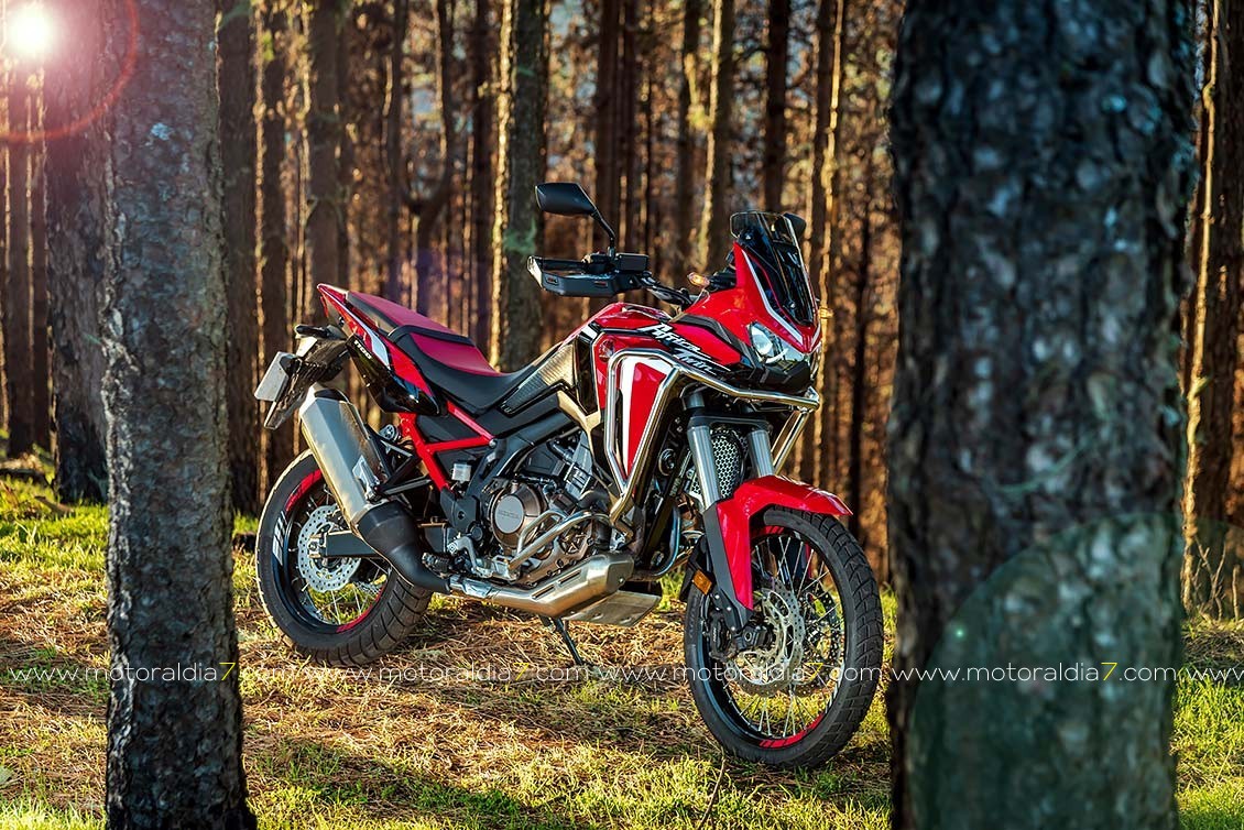 Africa Twin 2020 ¡Ahora si!