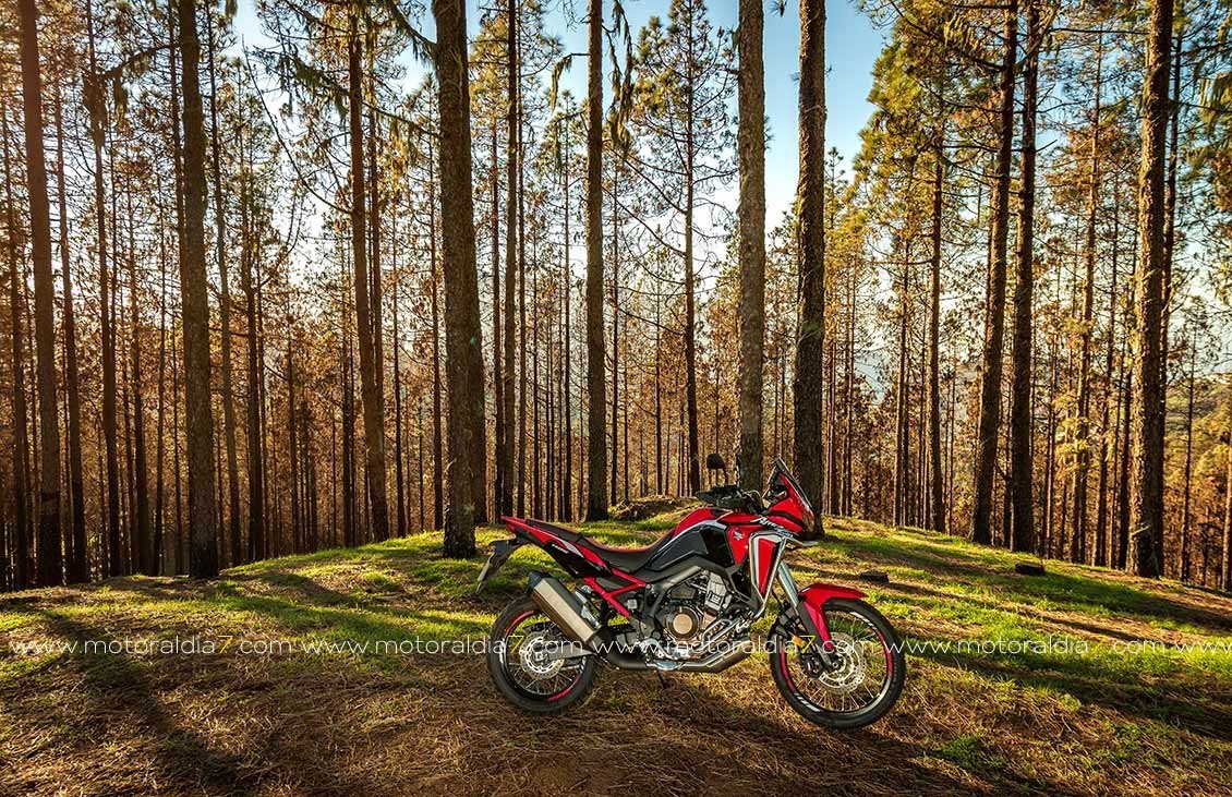 Africa Twin 2020 ¡Ahora si!