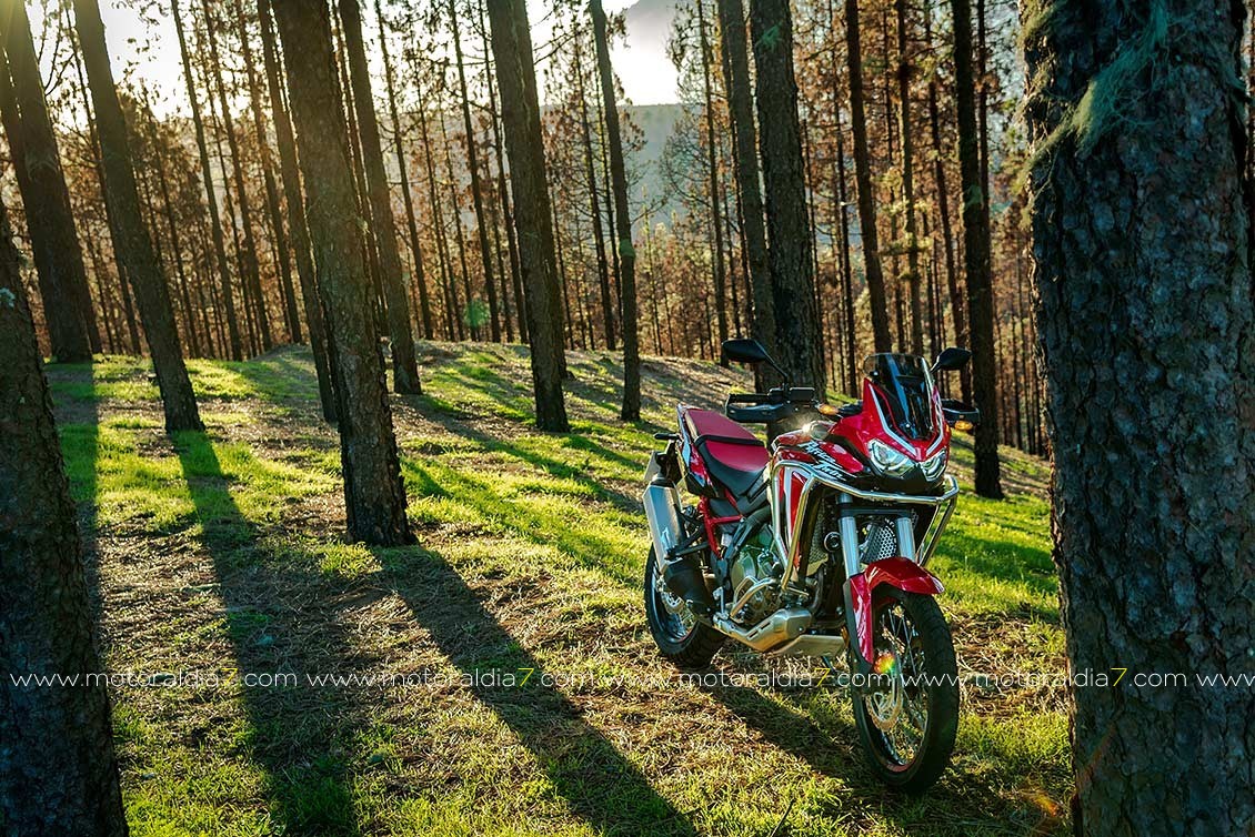 Africa Twin 2020 ¡Ahora si!