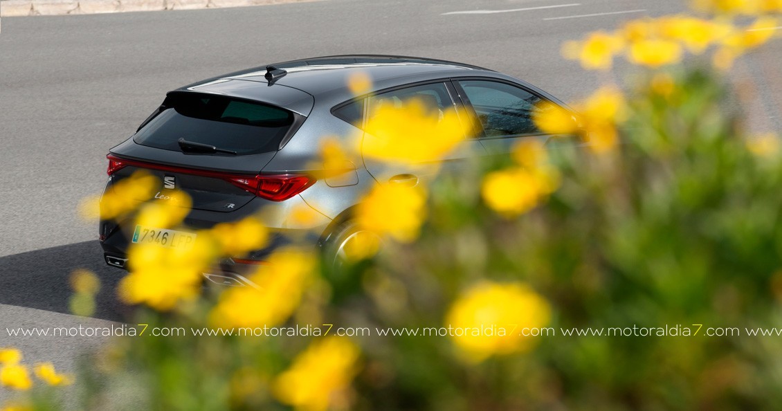SEAT León, confort y practicidad