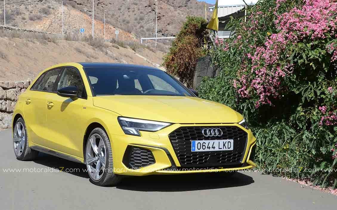 Audi líder por 12º año consecutivo