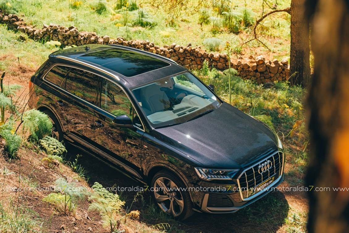 Audi líder por 12º año consecutivo
