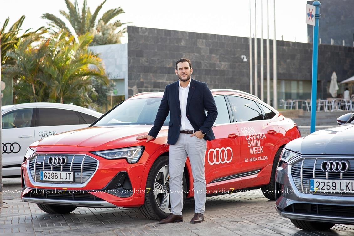 Audi líder por 12º año consecutivo