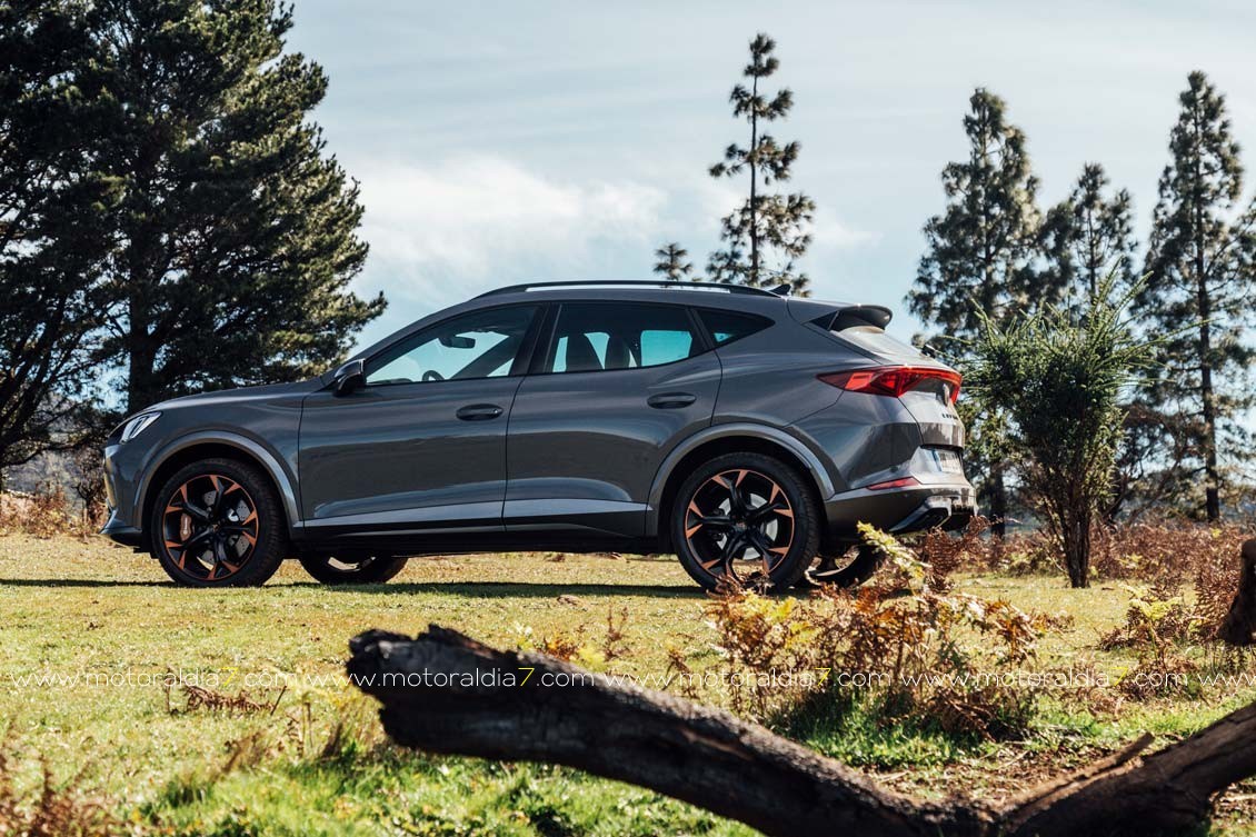 CUPRA Formentor, combinación perfecta