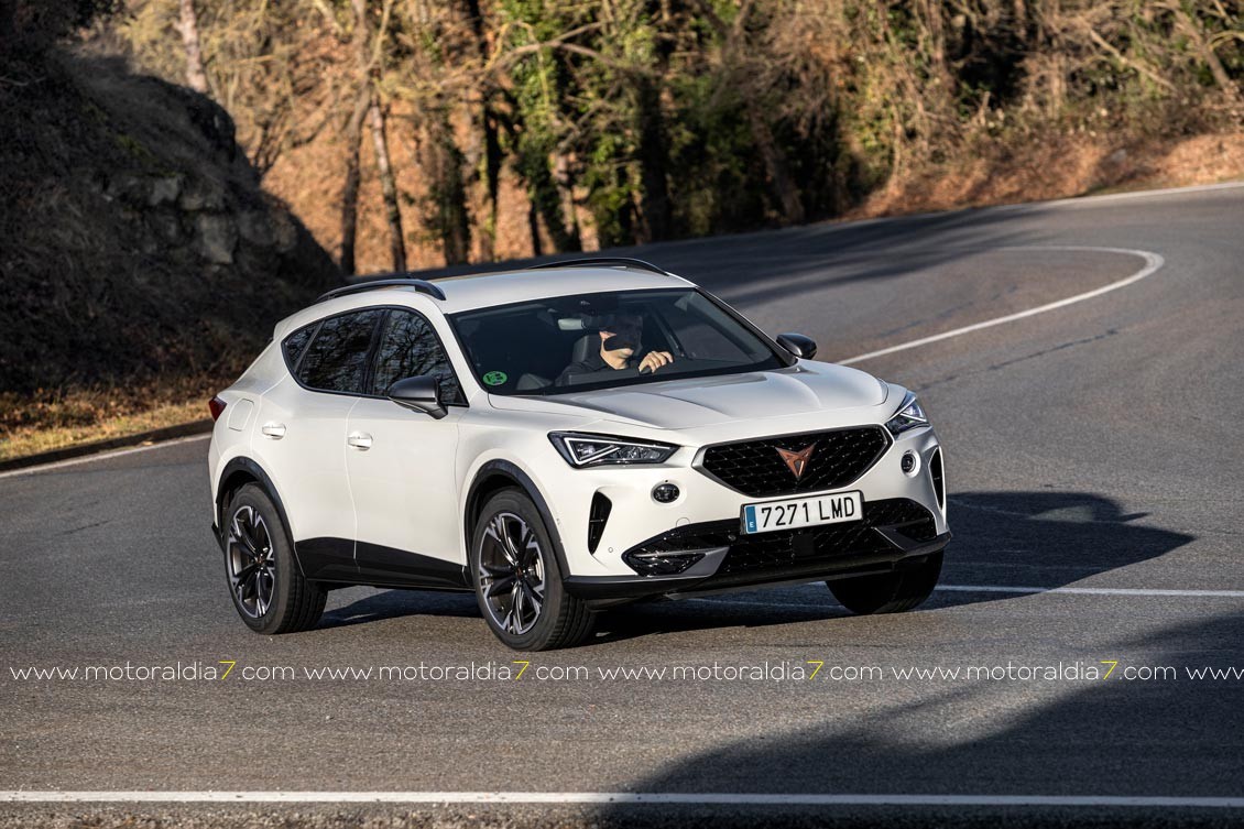 Un CUPRA Formentor para cada necesidad