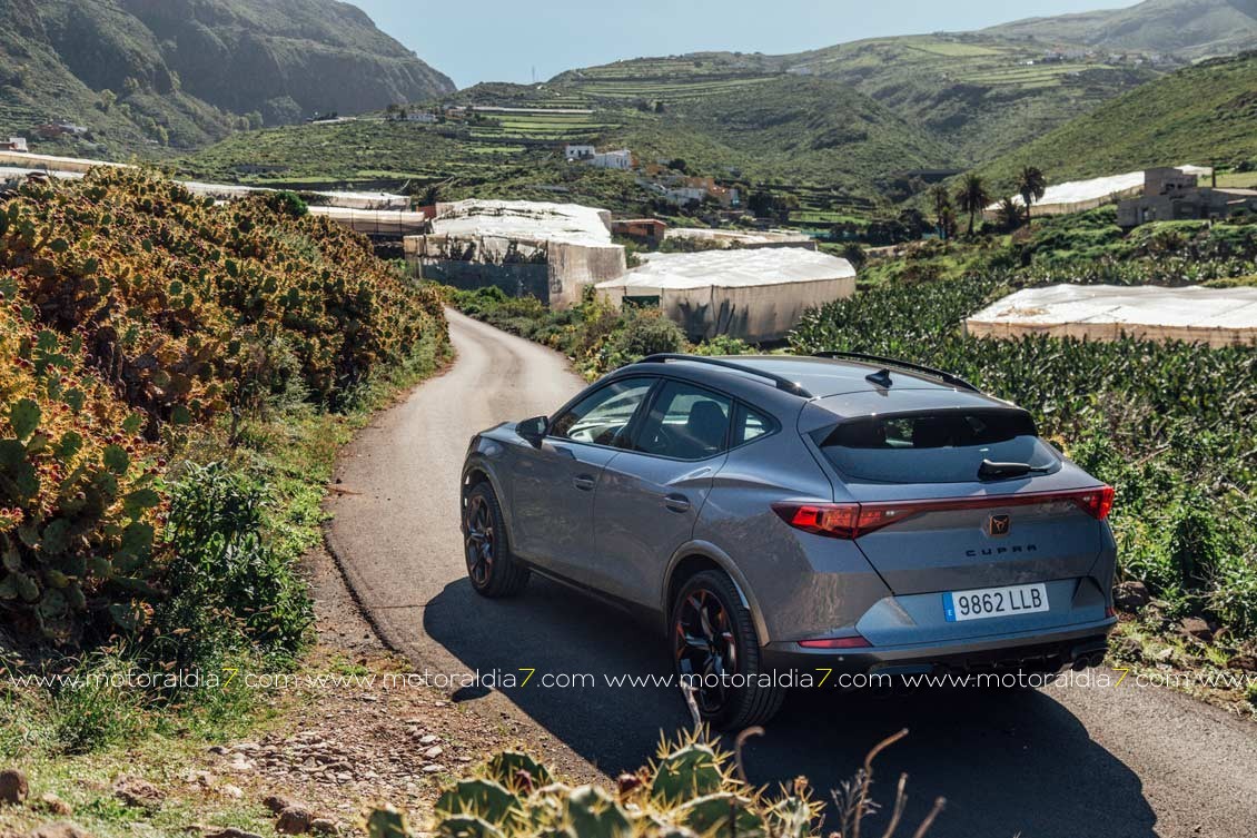 Nuevo éxito para el CUPRA Formentor