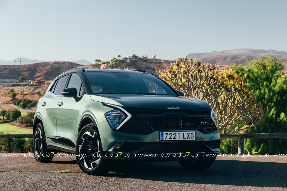 Estos son los aspirantes a Mejor Coche de Canarias