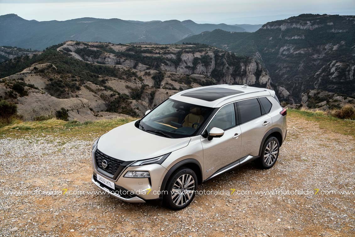 Estos son los aspirantes a Mejor Coche de Canarias
