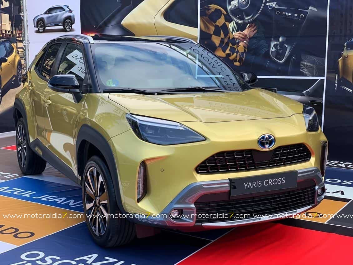 Estos son los aspirantes a Mejor Coche de Canarias