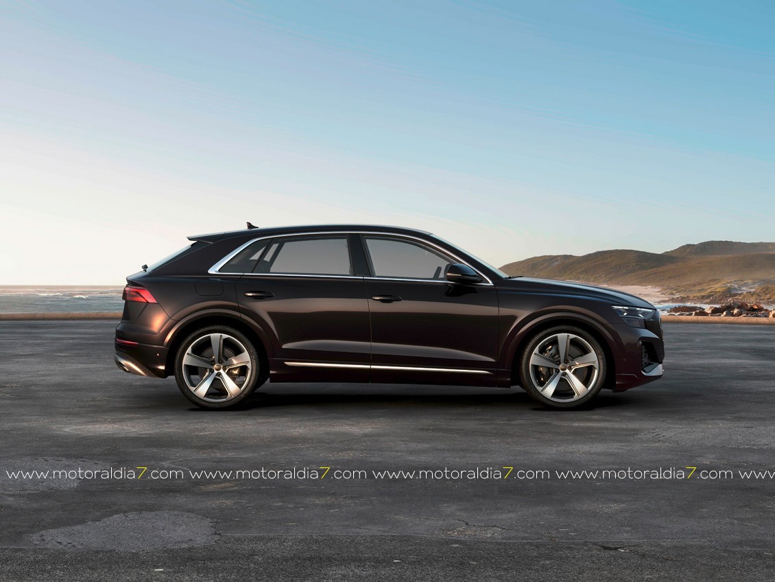 Audi Q7 y Q8, eficiencia y amplitud