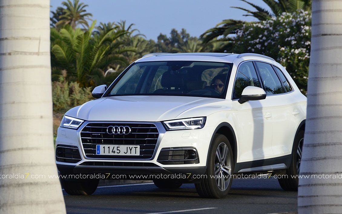 Audi Q5, para disfrutar con un SUV