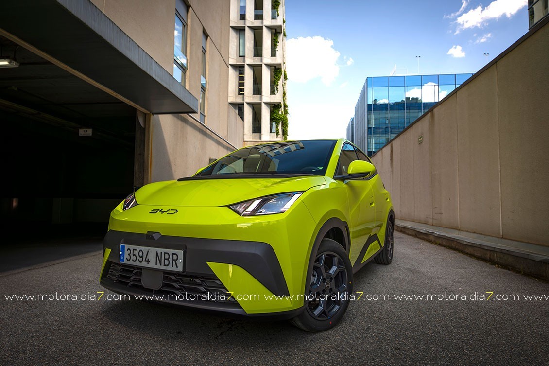 BYD Dolphin Surf, el eléctrico urbano definitivo