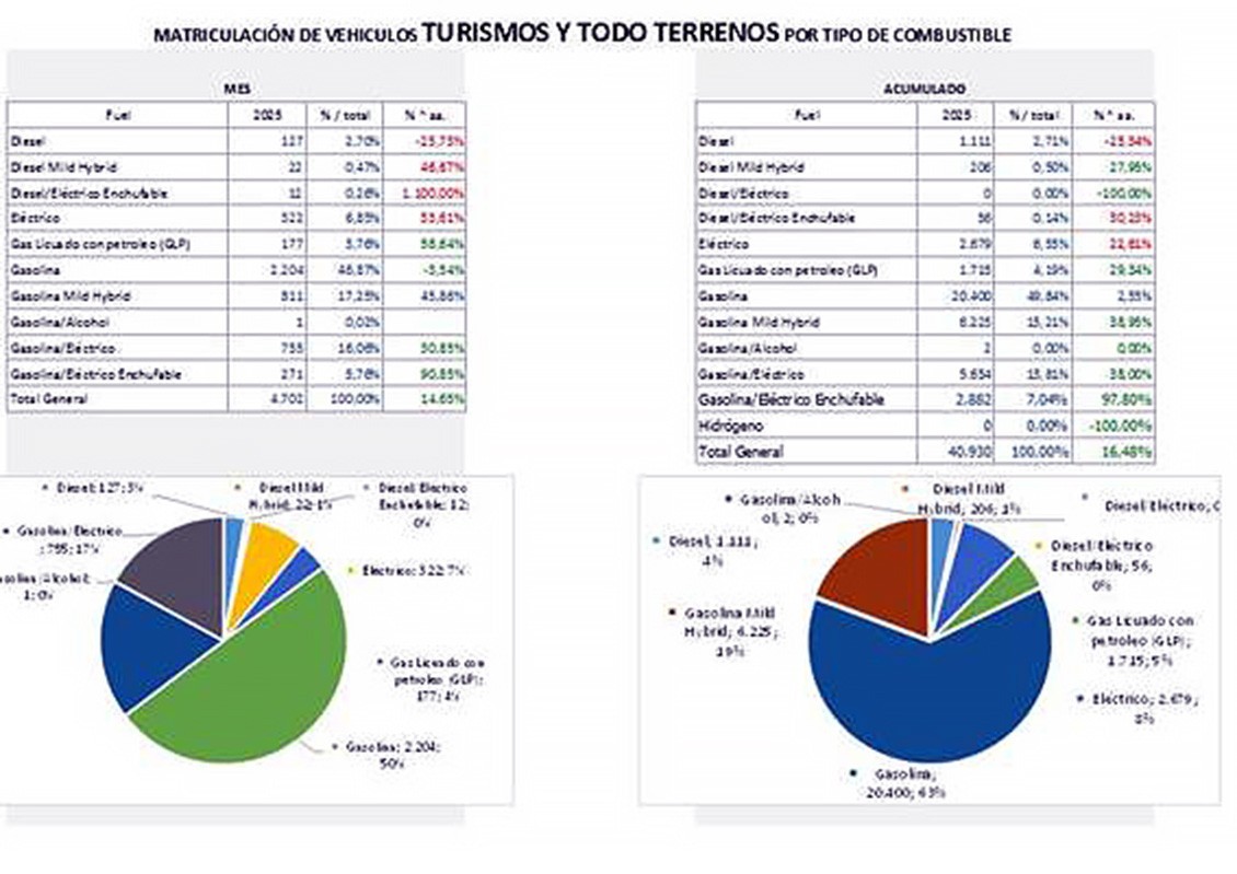 Crecen las matriculaciones en Canarias