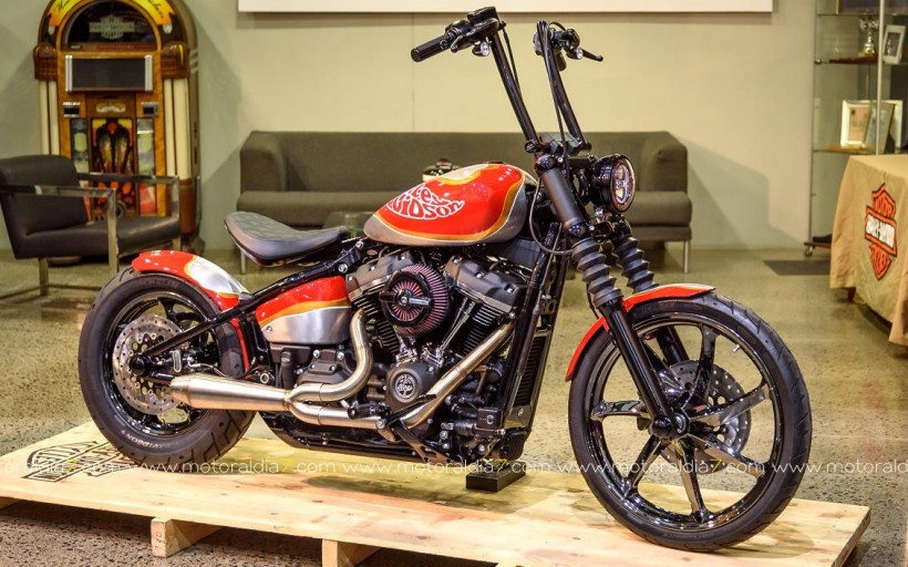 Ya puedes votar por la Mojo Bobber de Gubra