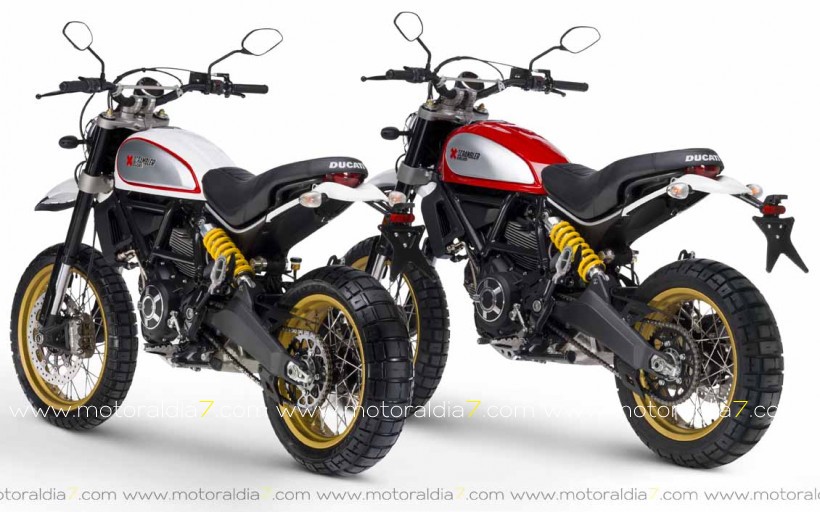 DUCATI SCRAMBLER Desert Sled