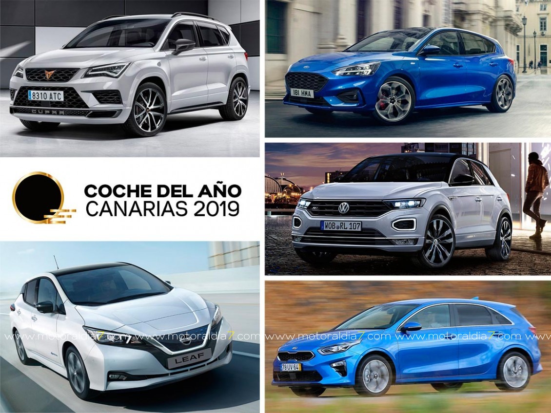 Cinco automóviles aspiran al galardón en 2019