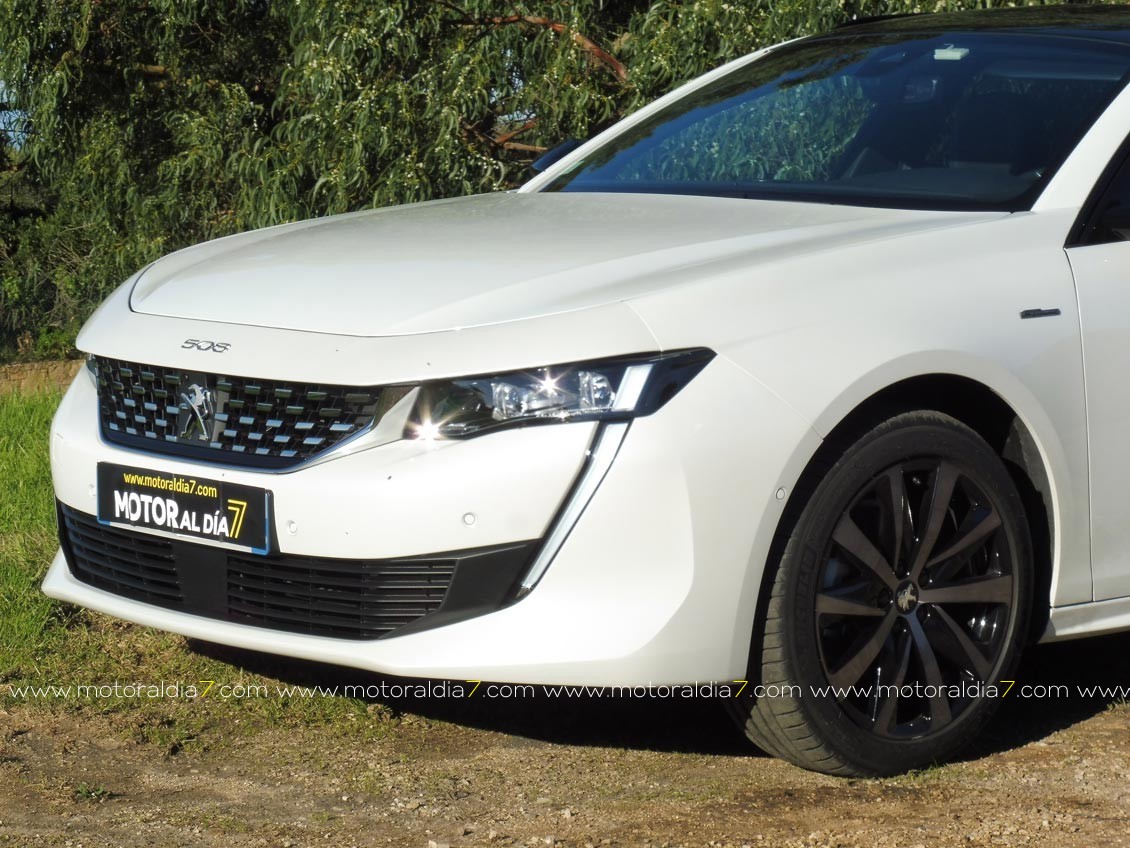 Peugeot 508 SW, un break a la moda