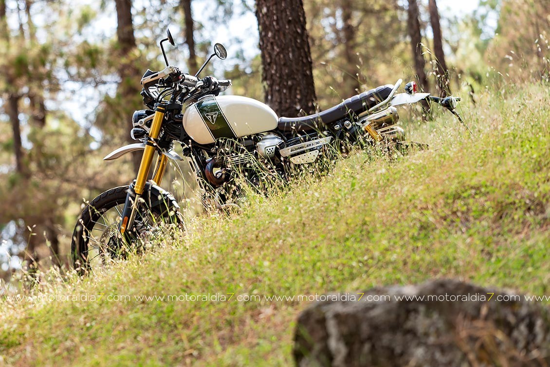 Scrambler 1200 XE, la Scrambler más aventurera.