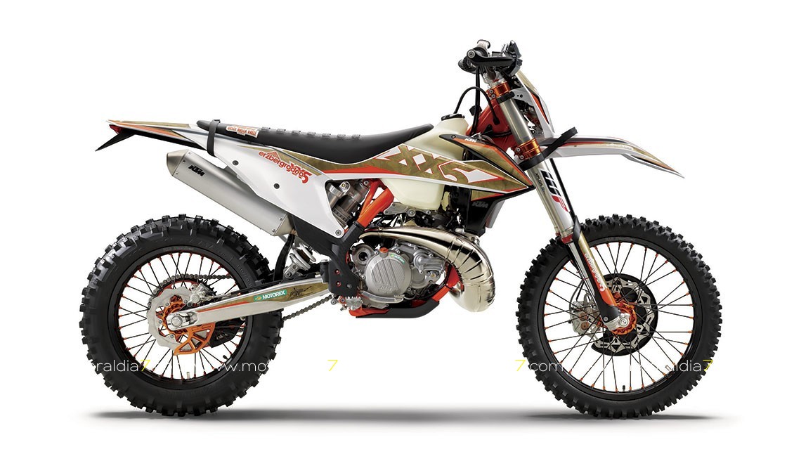 KTM-300-EXC-TPI-ERZBERGRODEO-MY2020