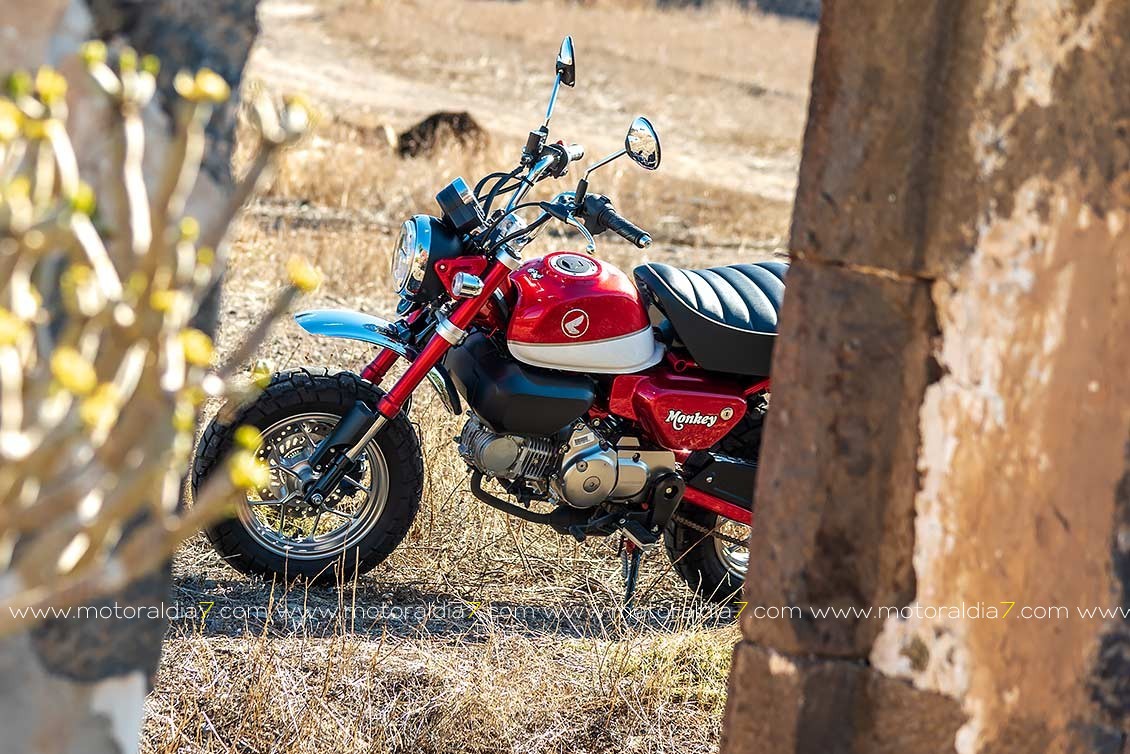 Honda Monkey 125 la reina de la ciudad.