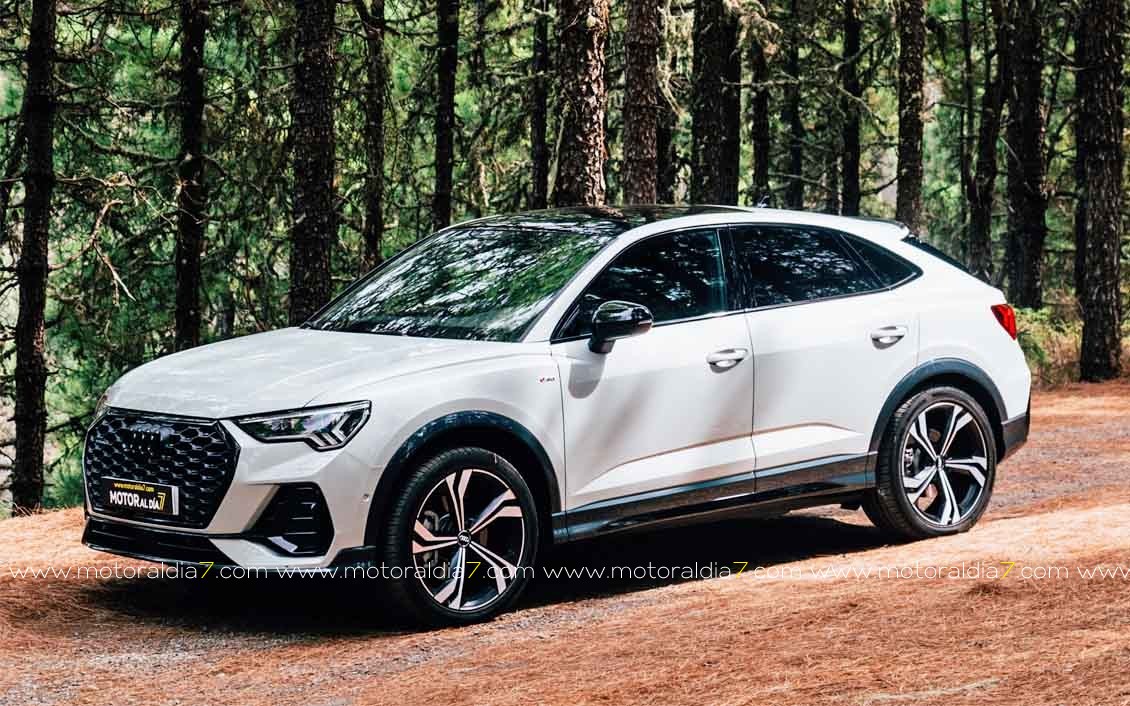Audi, 11 años de reinado en Canarias