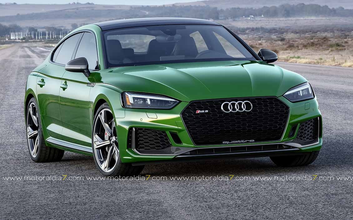 Audi, 11 años de reinado en Canarias