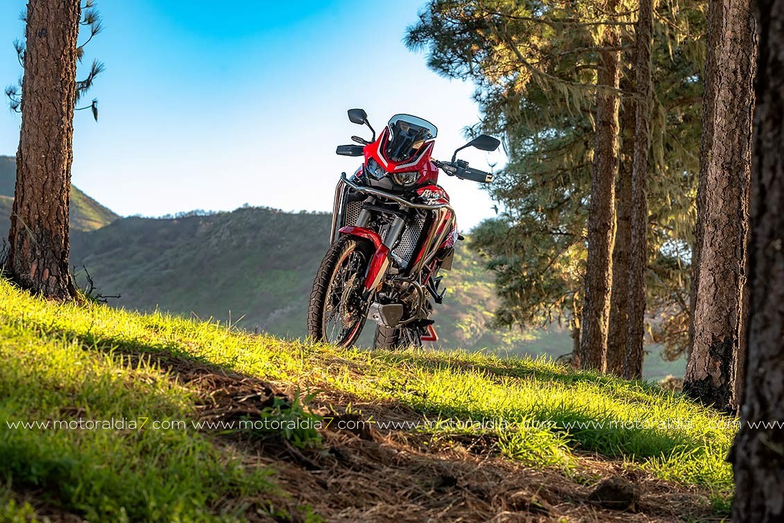 Africa Twin 2020 ¡Ahora si!