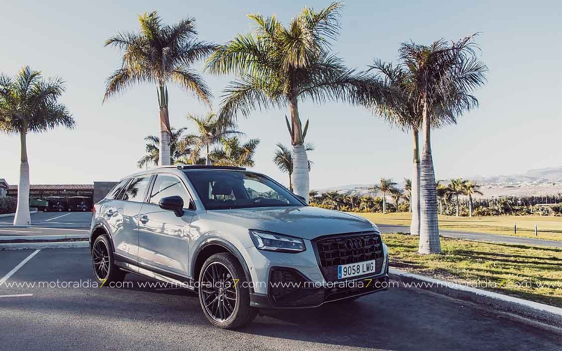 Audi Q2, las medidas justas