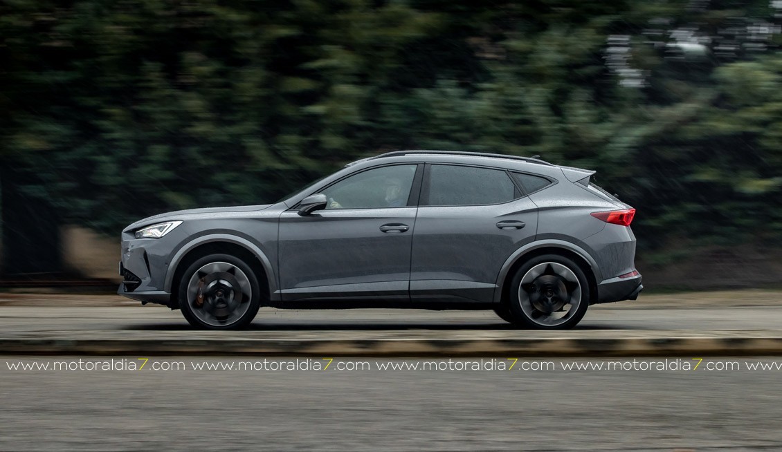 El CUPRA Formentor con 5 estrellas EuroNCAP