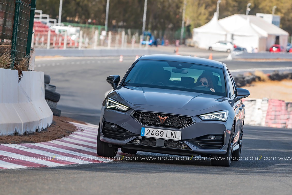 Hibridación para el CUPRA León