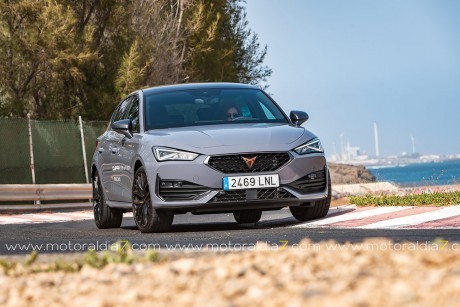 Hibridación para el CUPRA León