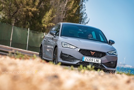 Hibridación para el CUPRA León